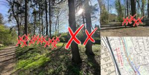 Petice za záchranu přírody (50 stromů) v CHKO Beskydy ❌Cyklostezka Lomná v Trojanovicích